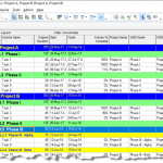 Primavera P6 Professional Project Management