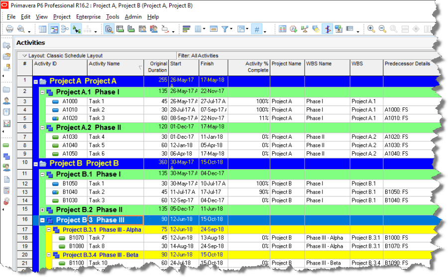 Primavera P6 Professional Project Management