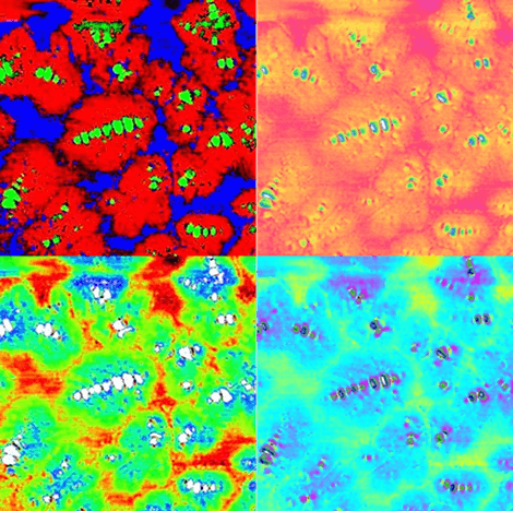 A Study of the Influence of the Microstructure of One Type of Bitumen Grade on the Performance as a Binder A Study of the Influence of the Microstructure of One Type of Bitumen Grade on the Performance as a Binder