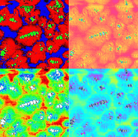 A Study of the Influence of the Microstructure of One Type of Bitumen Grade on the Performance as a Binder