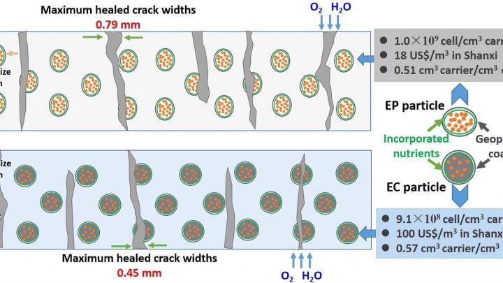 SELF-HEALING CONCRETE