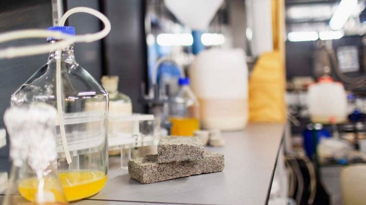 Bio-bricks made from human urine could be environmentally friendly future of architecture