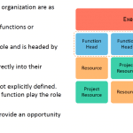 Organization Structure: Functional Organization