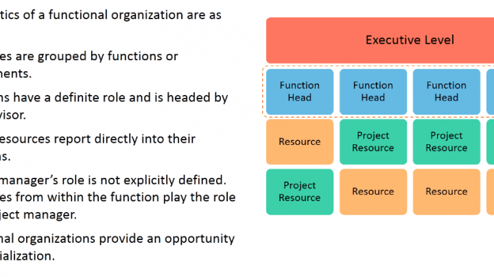 Organization Structure: Functional Organization