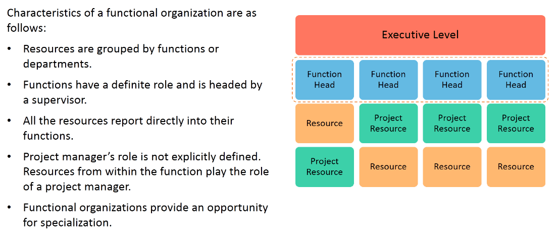 Organization Structure: Functional Organization