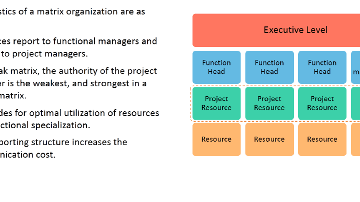 Organization Structure: Matrix Organization