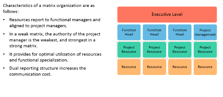 Organization Structure: Matrix Organization