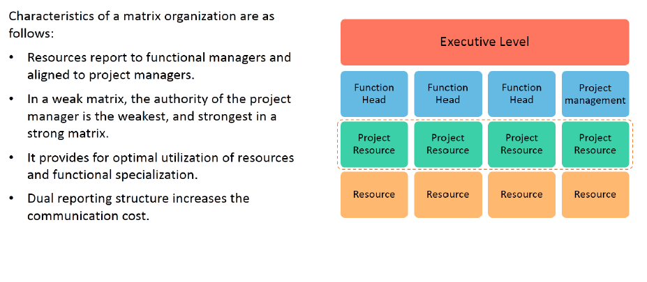 advantages of matrix organization