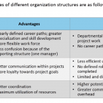 Organizational Structures, Advantages and Disadvantages