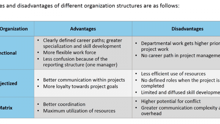 Organizational Structures, Advantages and Disadvantages