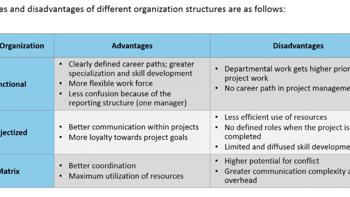 advantages of matrix organization