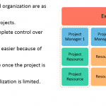 Organization Structure: Projectized Organization