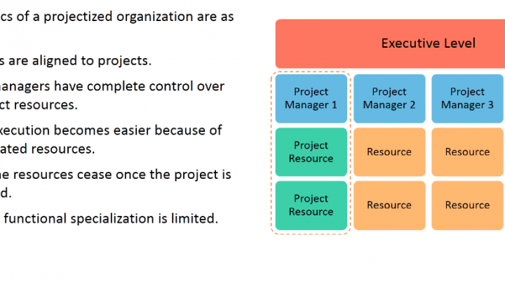 Organization Structure: Projectized Organization