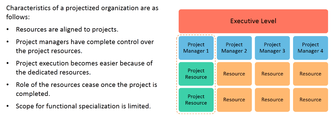 Organization Structure: Projectized Organization