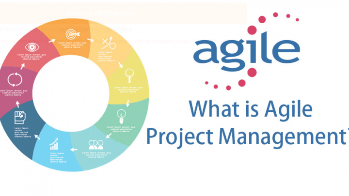 What is agile project management?