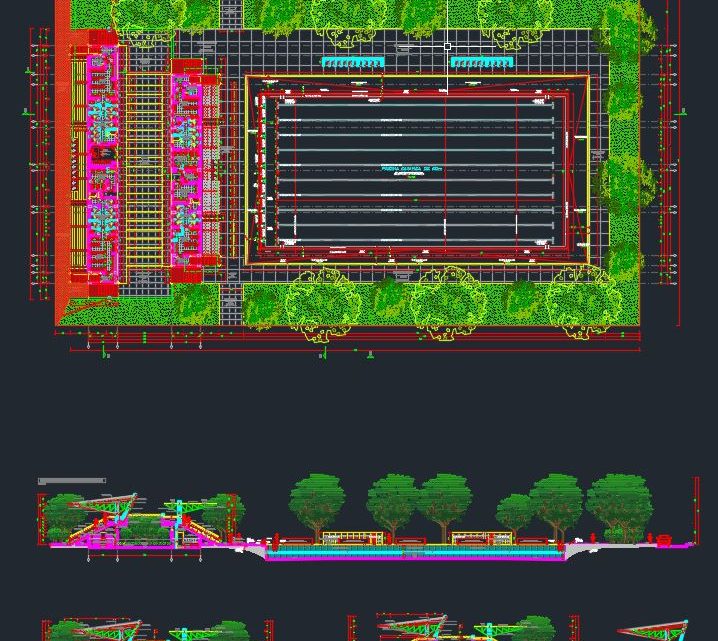 Swimming Pool Layout Plan Autocad Drawing