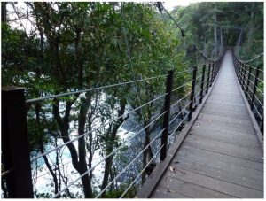 A suspension bridge in Izu, Japan