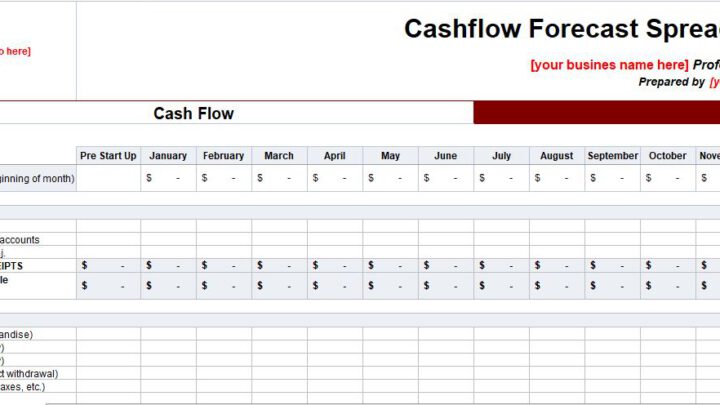 Cashflow Forecast Spreadsheet