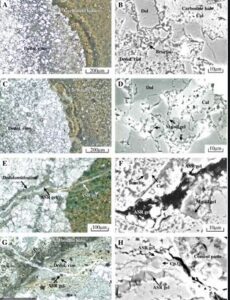 Alkali-Carbonate Rock Reaction in concrete