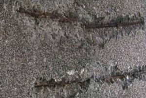 Carbonation Shrinkage in concrete