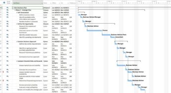 primavera p6 vs ms project