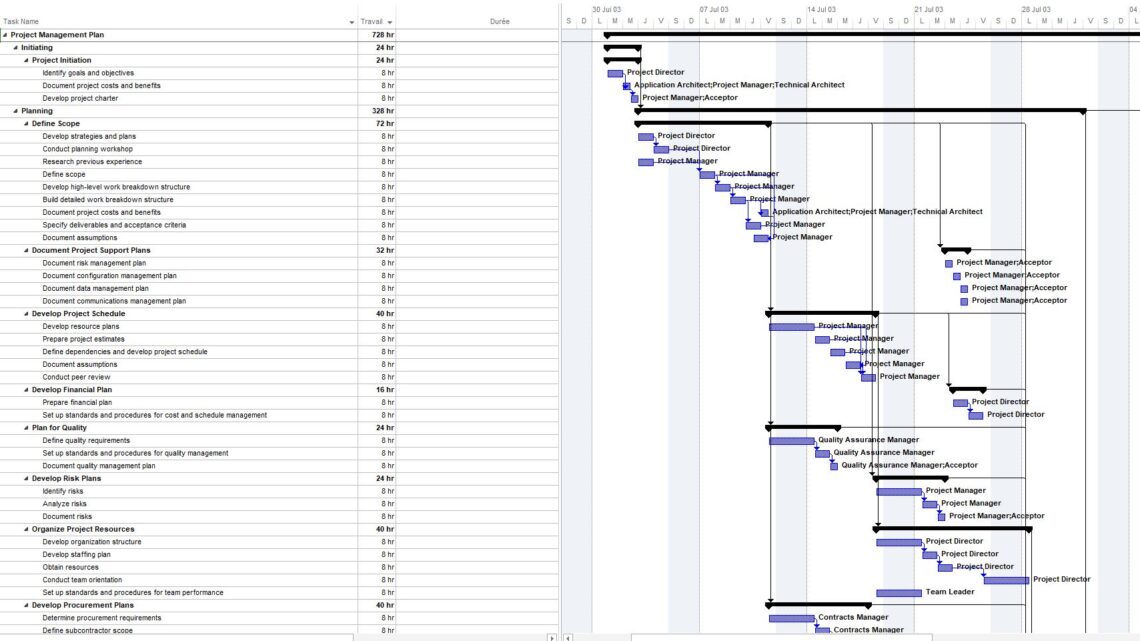 Project Management Plan MS Project Free Template